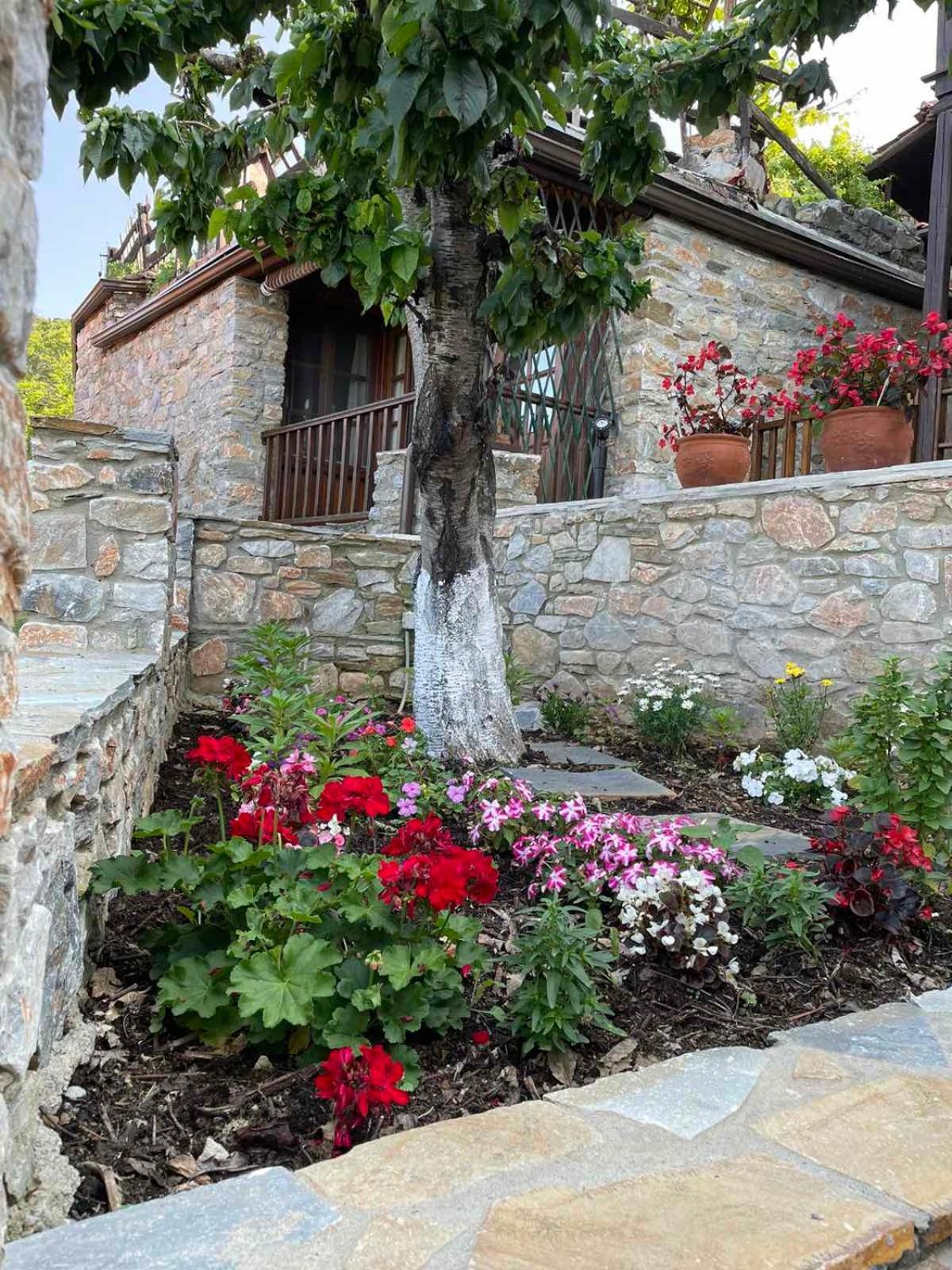 Apartment To Patriko Mas Guesthouse-2 Palaios Panteleimonas